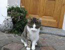 Lucy
