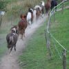 Screenshot 20211107 203802 com.android.gallery3d 1241    Kopie