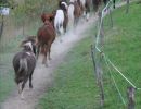 Screenshot 20211107 203802 com.android.gallery3d 1241    Kopie