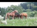 Screenshot 20211107 203938 com.android.gallery3d 1244    Kopie